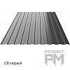 Профнастил С20 серый, RAL 7024, 0.45 мм